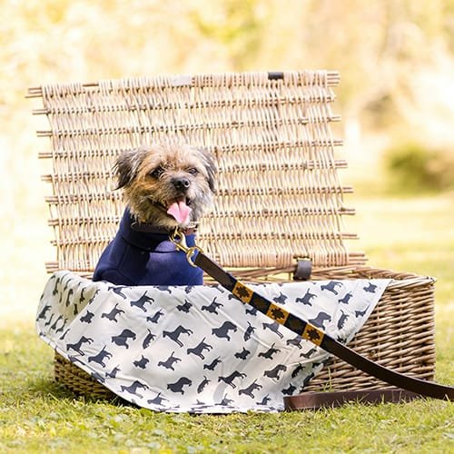 Baskest - White Diamond